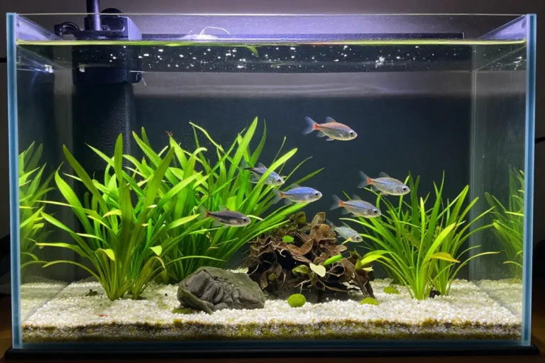 Guía completa sobre el ciclado de acuario: Pasos esenciales para un sistema equilibrado 7 Acuario con agua clara, plantas sanas y peces nadando. Filtro biológico con colonias bacterianas visibles. Iluminación suave que muestra un ecosistema equilibrado.