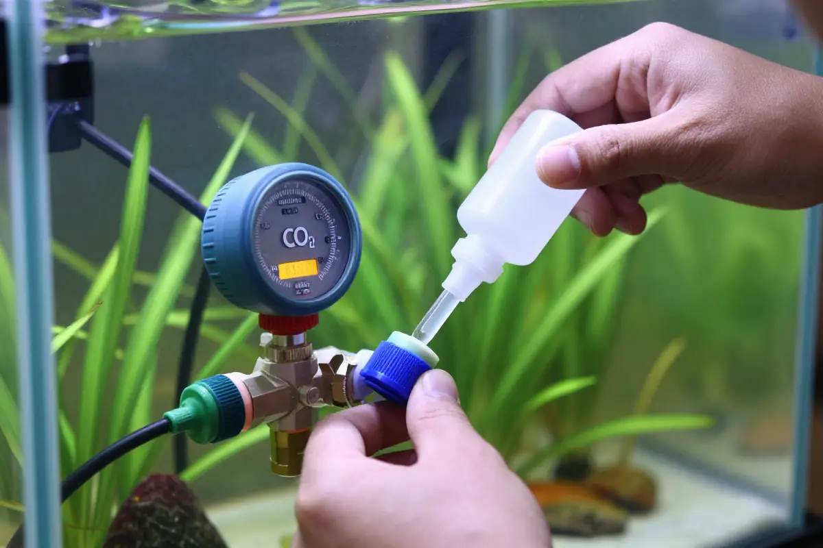 Vista cercana de sistema de regulacion de CO2 y botella de nutrientes en acuario. Persona midiendo liquido para dosificacion. Ambiente acuatico equilibrado.
