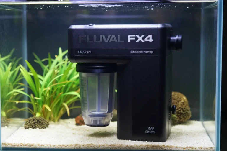 Filtro Fluval FX4, filtro externo para acuarios de hasta 1000 litros, con sistema SmartPump y gravel Back, mostrado en un acuario con buena iluminación